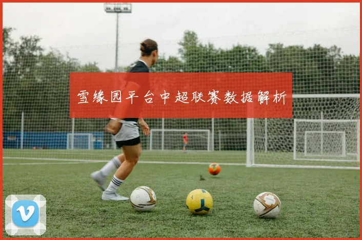 雪缘园平台中超联赛数据解析