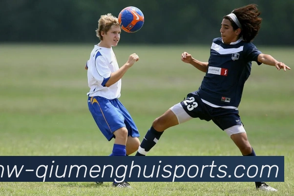 多媒体互动体验